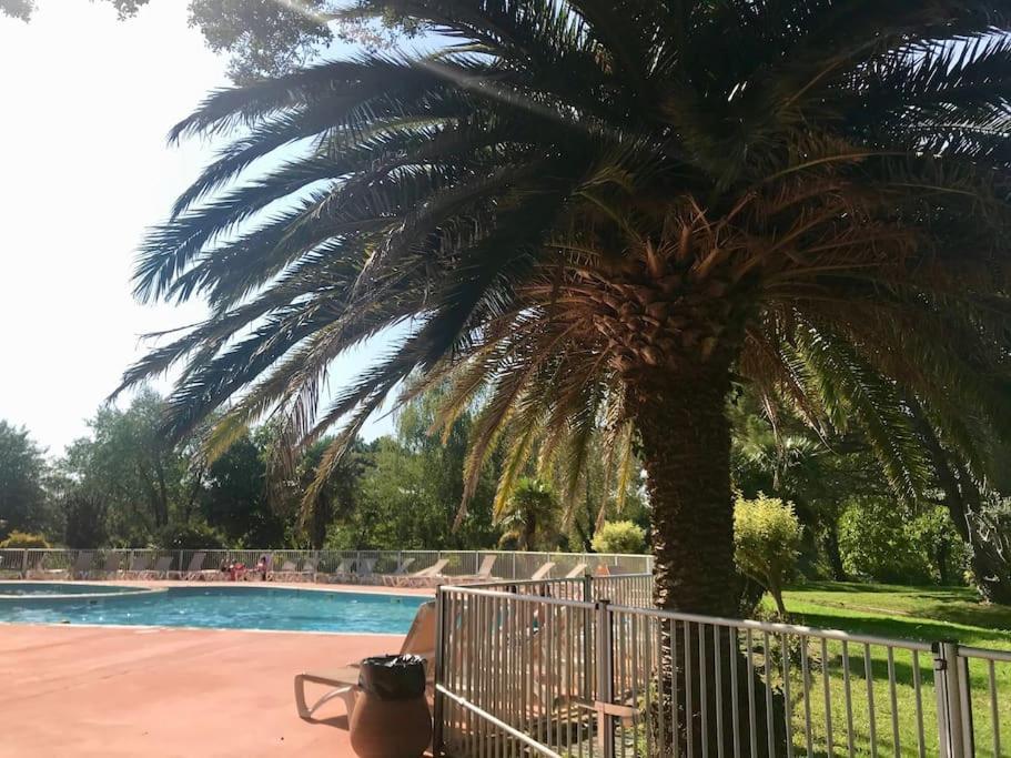 Appart Cosy Green, Ocean, Golf, Piscine, Wifi Moliets-et-Maa Eksteriør billede